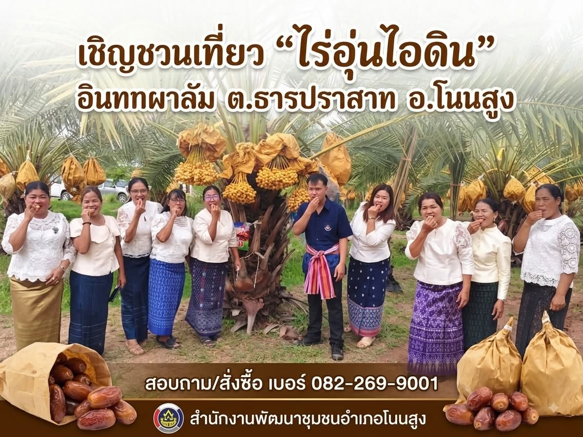 สำนักงานพัฒนาชุมชนอำเภอโนนสูง ชวนเที่ยวเช็คอิน! สวนเกษตรท่องเที่ยวเชิงสร้างสรรค์ “ไร่อุ่นไอดิน” แหล่งปลูกและจำหน่ายอินทผลัมคุณภาพดี สัมผัสวิถีเกษตร ชิมความหวานกรอบอร่อยสด ๆ จากต้น ณ ตำบลธารปราสาท อำเภอโนนสูง จังหวัดนครราชสีมา